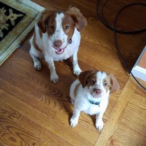 Meet your Posher, Lena